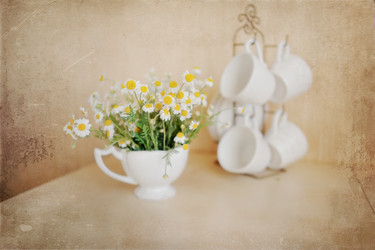 Similar image 2898592