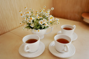 Similar image 2898594