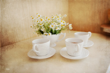 Similar image 2898595