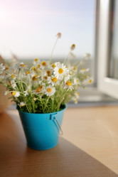 Similar image 2898682