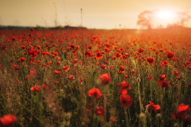 Similar image 2898726