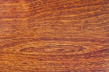 Similar image 2898796