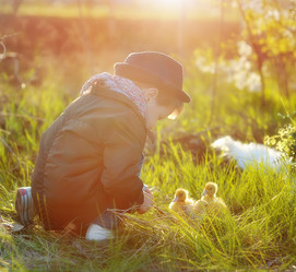 Similar image 2898993