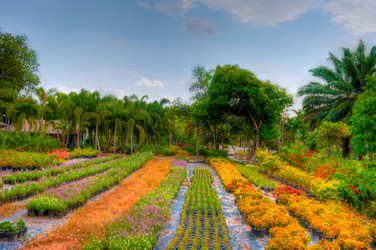 Similar image 2899061