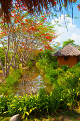 Similar image 2899069