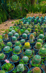 Similar image 2899072