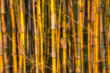 Similar image 2899085