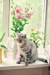 Similar image 2899089