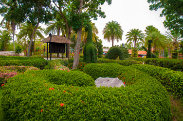 Similar image 2899092