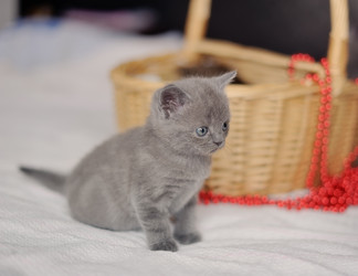 Similar image 2899093