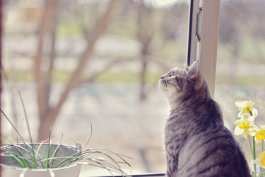 Similar image 2899094