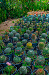 Similar image 2899104