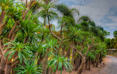 Similar image 2899105