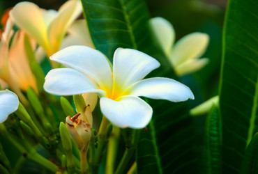 Similar image 2899114