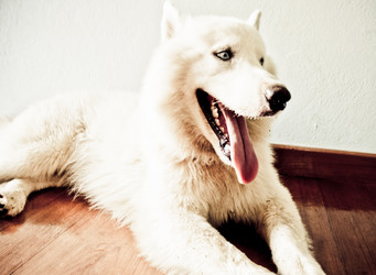 Similar image 2899126