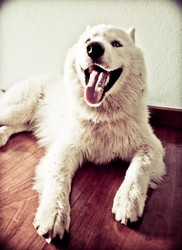 Similar image 2899134