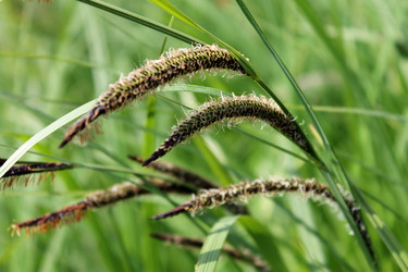 Similar image 2899168