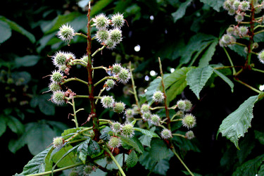 Similar image 2899180