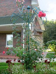 Similar image 2899183