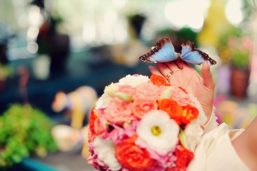 Similar image 2899203