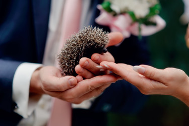 Similar image 2899204