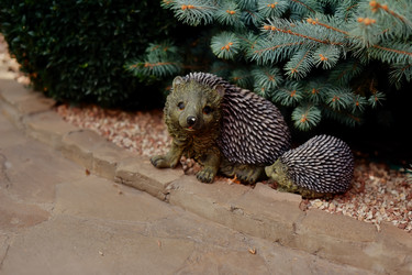 Similar image 2899222