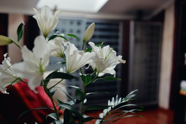 Similar image 2899225