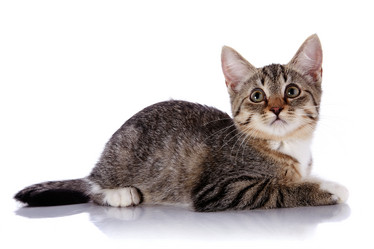 Similar image 2900398