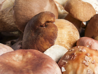 Similar image 2900402