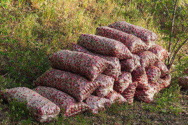 Similar image 2900435