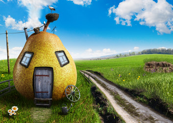 Similar image 2900469