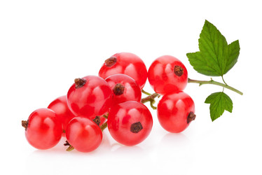 Similar image 2900471