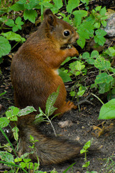 Similar image 2900484