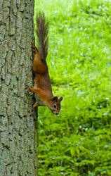 Similar image 2900494