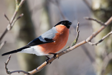 Similar image 2900502