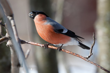 Similar image 2900503