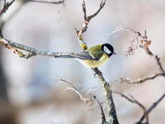 Similar image 2900505