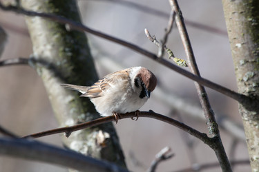 Similar image 2900507