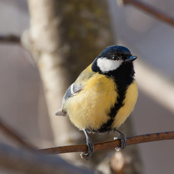 Similar image 2900509