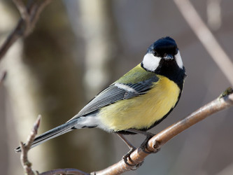 Similar image 2900511