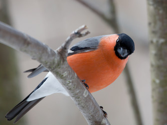 Similar image 2900512