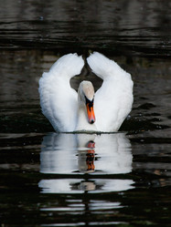 Similar image 2900514