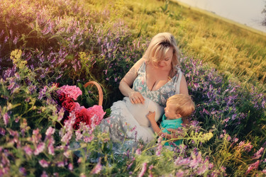 Similar image 2900539