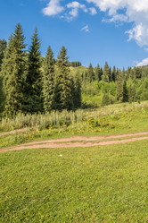 Similar image 2901026