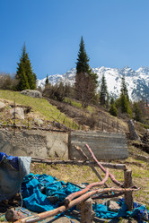 Similar image 2901029