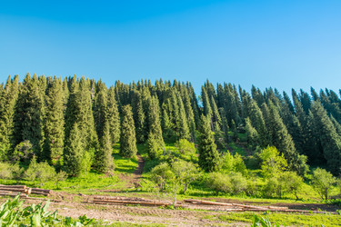 Similar image 2901032