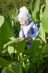 Similar image 2901037