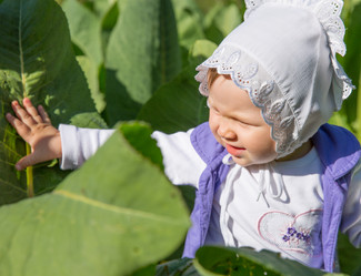 Similar image 2901038