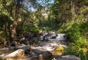 Similar image 2901039