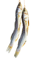 Similar image 2901182